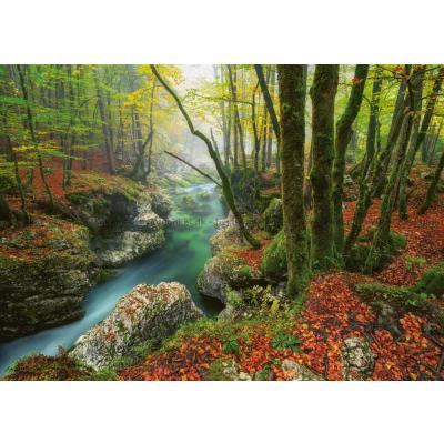 Bild av Den magiska skogen: Magi i höstskogen, 1000 bitar
