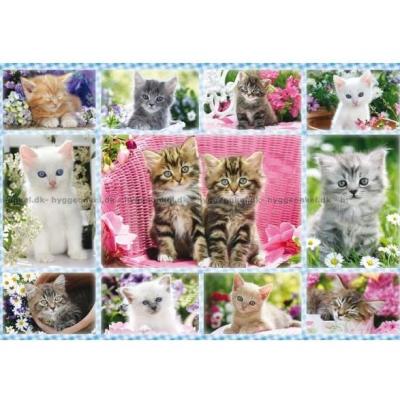 Bild av Kattungar, 100 bitar