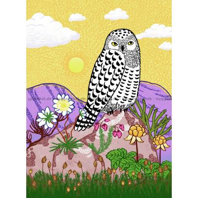 Ugglan på fjället, 500 bitar