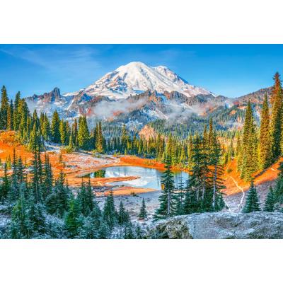 Bild av USA: Mount Rainier National Park, 1000 bitar