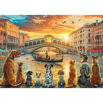 Bild av Chesterman: Hundarna njuter av Venedig, 1000 bitar