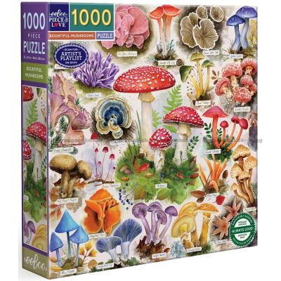 Skogens skatter, 1000 bitar