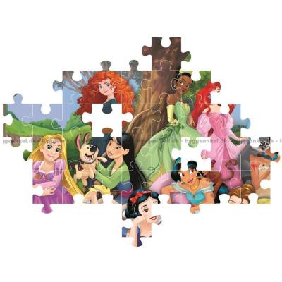 Bild av Disneyprinsessor: I slottsparken, 104 bitar
