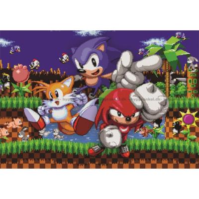 Bild av Sonic: Hjältar på äventyr, 500 bitar