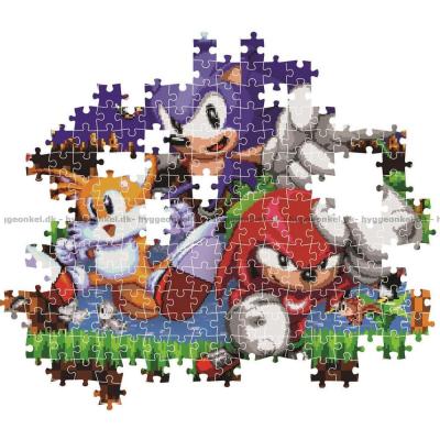 Bild av Sonic: Hjältar på äventyr, 500 bitar