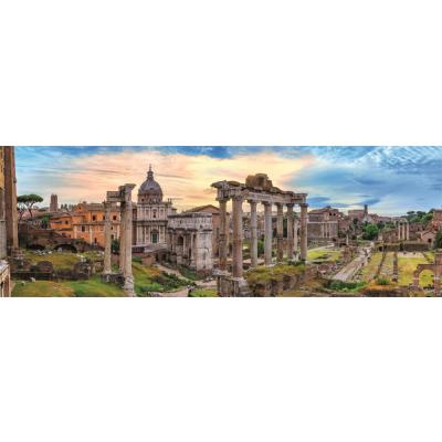 Bild av Rom: Forum Romanum - Panorama, 1000 bitar