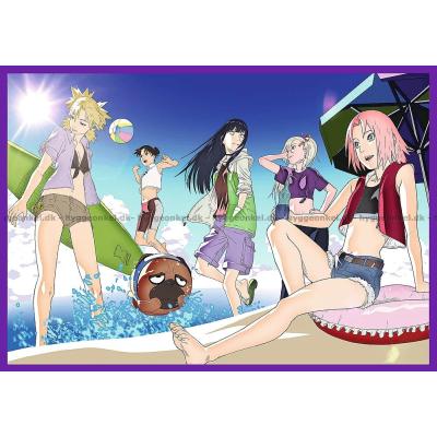 Bild av Naruto Shippuden, 4x250 bitar