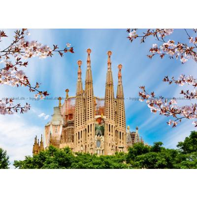 Bild av Barcelona: Sagrada Familia, 1000 bitar