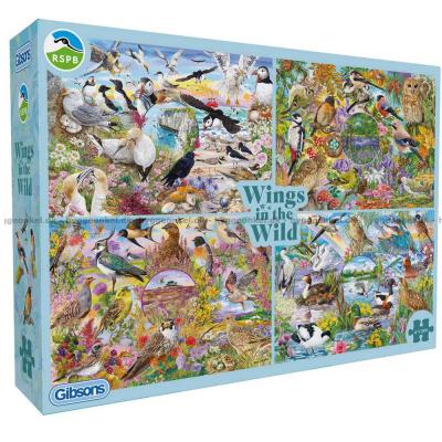 Daughters: Fågelliv vid kusten, 4x500 bitar