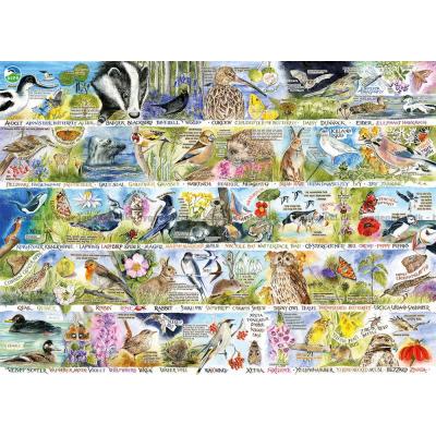 Bild av Goldfinch: Naturens mångfald, 1000 bitar