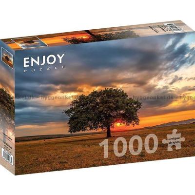 Bild av Solnedgång vid eken, 1000 bitar