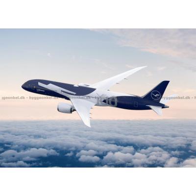 Bild av Lufthansa, 1000 bitar