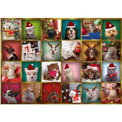 Bild av Julkalender: Hundar och katter, 24x42 bitar