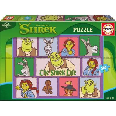 Bild av Shrek, 300 bitar