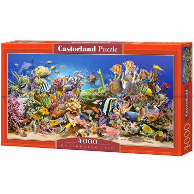 Korallrevets spännande liv - Panorama, 4000 bitar