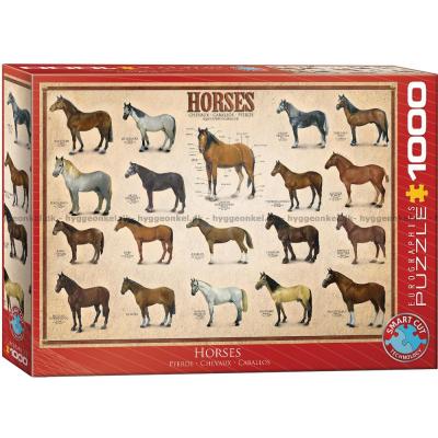 Hästar, 1000 bitar