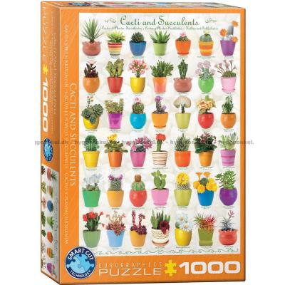 Kaktusar och suckulenter, 1000 bitar