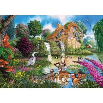 Bild av Francis: Flora och fauna, 4x500 bitar