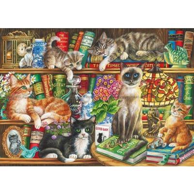 Yates: Katter och böcker, 1000 bitar