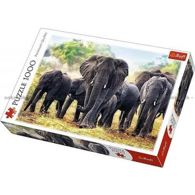 Afrikanska elefanter, 1000 bitar