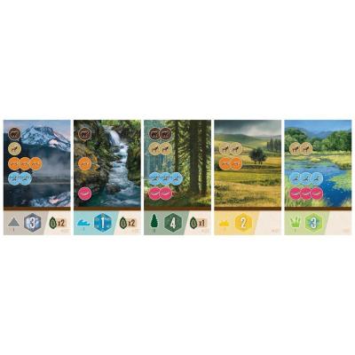 Bild av Cascadia: Rolling Rivers - Roll & Write