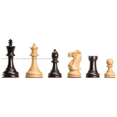 Bild av Schackpjäser: DGT Judit Polgar