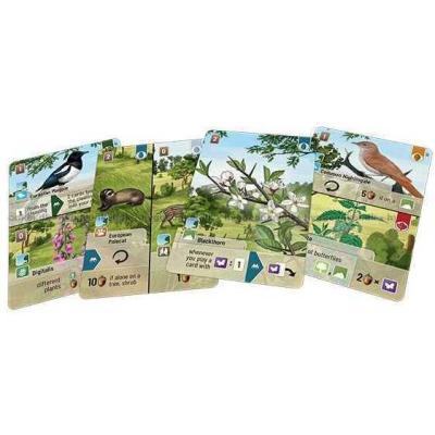 Bild av Forest Shuffle: Woodland Edge