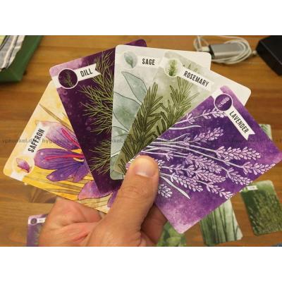 Bild av Herbaceous