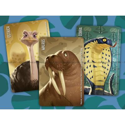 Bild av Similo: Wild Animals - Engelska