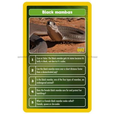 Bild av Top Trumps Quiz: The World of Animals