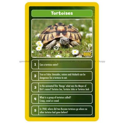 Bild av Top Trumps Quiz: The World of Animals