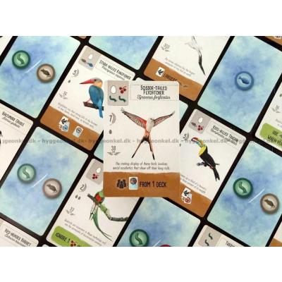 Bild av Wingspan: Pocket - Engelska