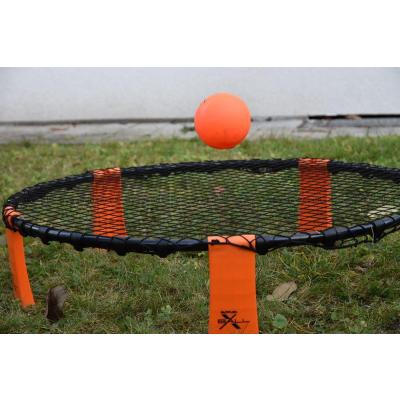 Bild av X-Ball roundnet
